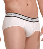 Report Collection Bamboo Brief